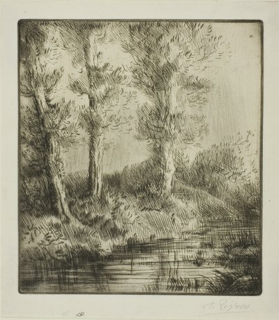 圣普雷河岸 作者 阿方斯·莱格罗斯（Alphonse Legros）
