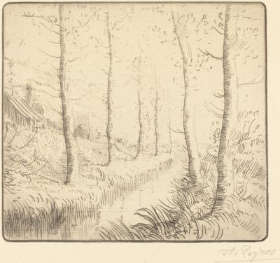 水边的白桦树 作者 阿方斯·莱格罗斯（Alphonse Legros）
