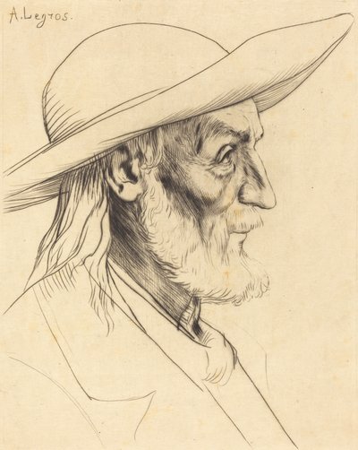 布列塔尼农民 Paysan breton. 作者 阿方斯·莱格罗斯（Alphonse Legros）