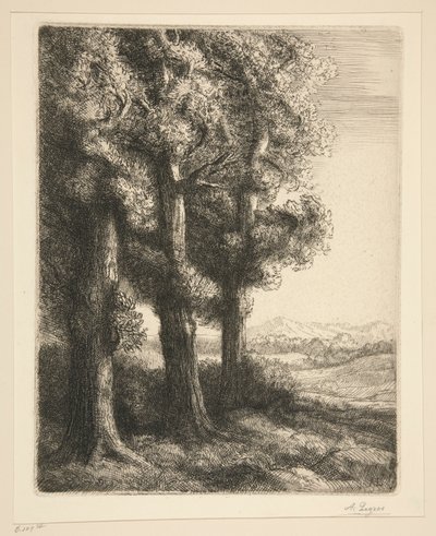 硬币 d 作者 阿方斯·莱格罗斯（Alphonse Legros）