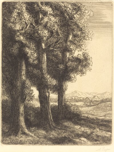 树林一角 作者 阿方斯·莱格罗斯（Alphonse Legros）