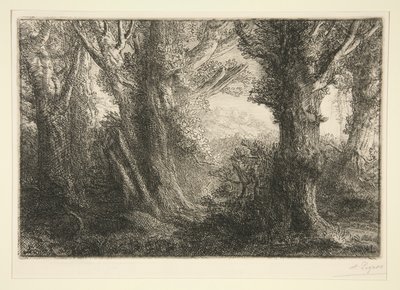 Dans la foret de Conteville（在康特维尔森林中） 作者 阿方斯·莱格罗斯（Alphonse Legros）