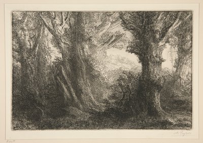 Dans la foret de Conteville（《康特维尔森林》）0 作者 阿方斯·莱格罗斯（Alphonse Legros）