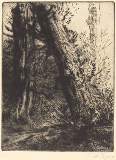 小溪的边缘(Bord de ruisseau) 作者 阿方斯·莱格罗斯（Alphonse Legros）