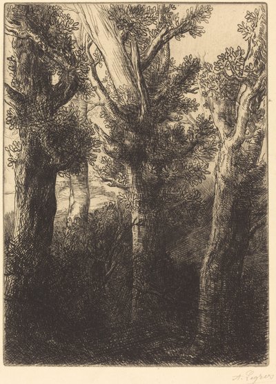 德国森林，唐利。 作者 阿方斯·莱格罗斯（Alphonse Legros）