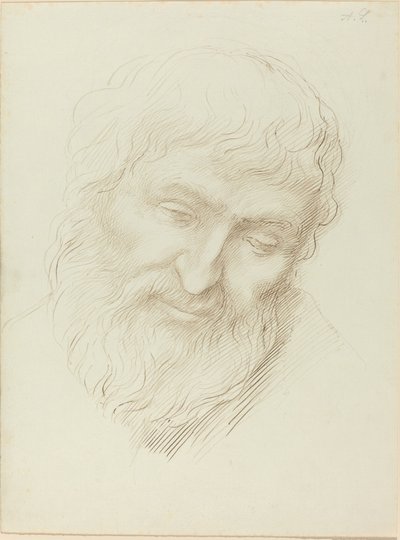 一个人的头。 作者 阿方斯·莱格罗斯（Alphonse Legros）