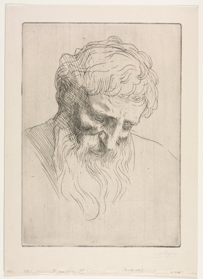 一个男人的头。 作者 阿方斯·莱格罗斯（Alphonse Legros）