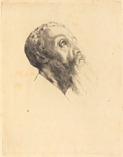 模特儿的头颅 Tete de modele。 作者 阿方斯·莱格罗斯（Alphonse Legros）