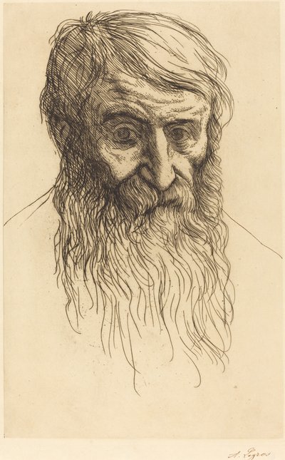 哲学家的头颅 Tete de philosophe。 作者 阿方斯·莱格罗斯（Alphonse Legros）