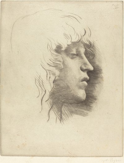 一个年轻女孩的头 哲学家的女儿。 作者 阿方斯·莱格罗斯（Alphonse Legros）