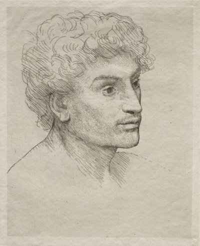 年轻人的头像 作者 阿方斯·莱格罗斯（Alphonse Legros）