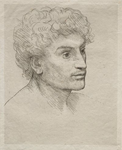 一个年轻人的头。 作者 阿方斯·莱格罗斯（Alphonse Legros）