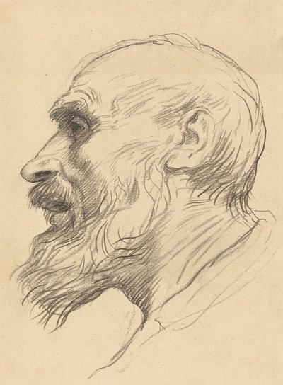 一个老人的头。 作者 阿方斯·莱格罗斯（Alphonse Legros）
