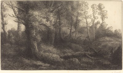 在森林Lisiere de foret。 作者 阿方斯·莱格罗斯（Alphonse Legros）