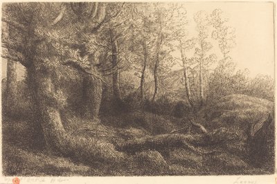 在森林Lisiere de foret。 作者 阿方斯·莱格罗斯（Alphonse Legros）