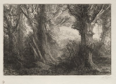 康特维尔森林 作者 阿方斯·莱格罗斯（Alphonse Legros）