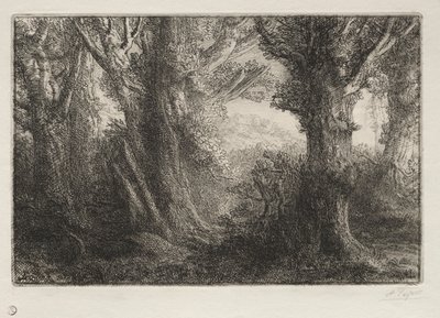 在孔戴维尔的森林中。 作者 阿方斯·莱格罗斯（Alphonse Legros）