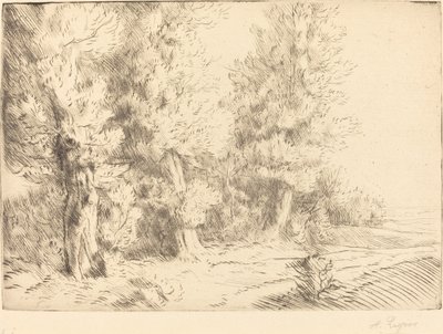 在枫丹白露的森林里 Dans la foret de Fontainebleau. 作者 阿方斯·莱格罗斯（Alphonse Legros）