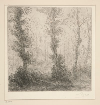 小湖 作者 阿方斯·莱格罗斯（Alphonse Legros）