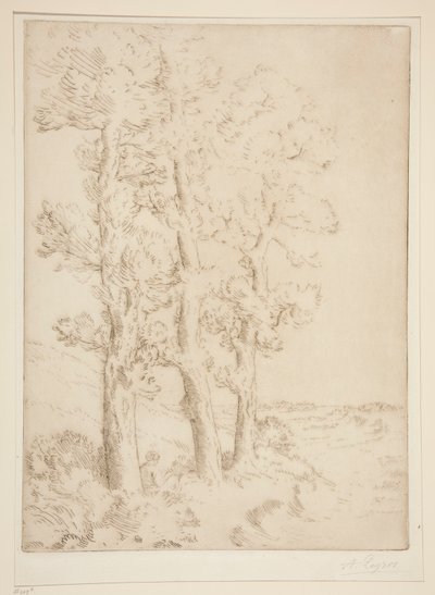 La liseuse：La lecture sous les arbres（妇女阅读：树下的课程） 作者 阿方斯·莱格罗斯（Alphonse Legros）