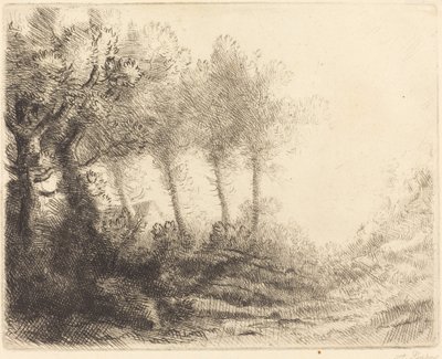 景观 作者 阿方斯·莱格罗斯（Alphonse Legros）