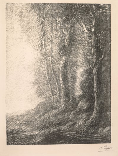 景观 作者 阿方斯·莱格罗斯（Alphonse Legros）