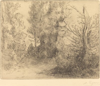 景观：靠近Chailleux (Paysage: Pres Chailleux) 作者 阿方斯·莱格罗斯（Alphonse Legros）