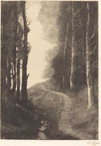 桦树景观（Le paysage aux bouleaux） 作者 阿方斯·莱格罗斯（Alphonse Legros）