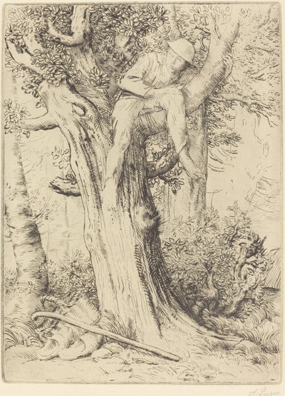 树上男孩的风景》（Paysage avec un garcon gimpe sur un arbre dite "Le denicher d