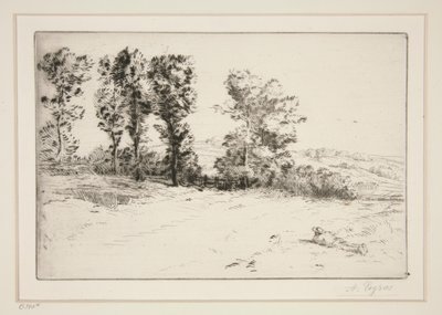 阳光下的草地 作者 阿方斯·莱格罗斯（Alphonse Legros）