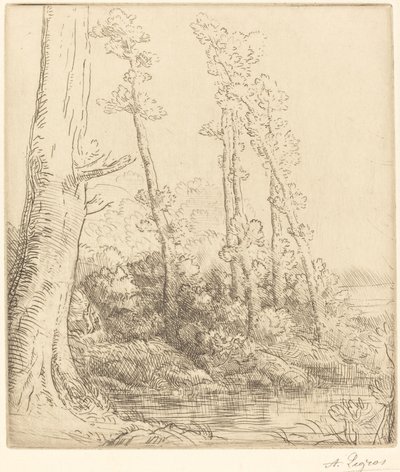 小池塘 La petite mare. 作者 阿方斯·莱格罗斯（Alphonse Legros）
