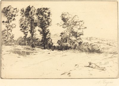 阳光下的草地 作者 阿方斯·莱格罗斯（Alphonse Legros）