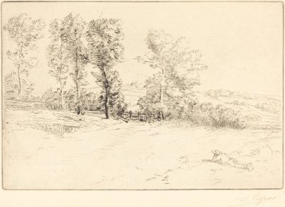 阳光下的草地 Le pre ensoleille. 作者 阿方斯·莱格罗斯（Alphonse Legros）