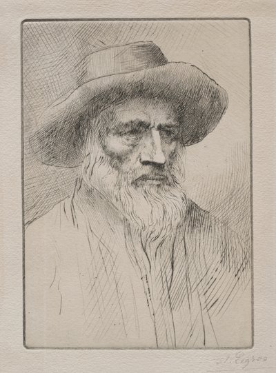 孚日山脉 作者 阿方斯·莱格罗斯（Alphonse Legros）