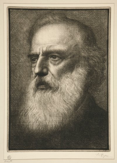 """"""的肖像 作者 阿方斯·莱格罗斯（Alphonse Legros）