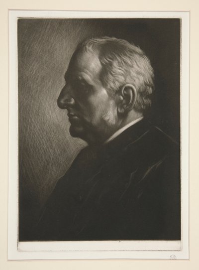 弗朗西斯-西摩爵士肖像 作者 阿方斯·莱格罗斯（Alphonse Legros）