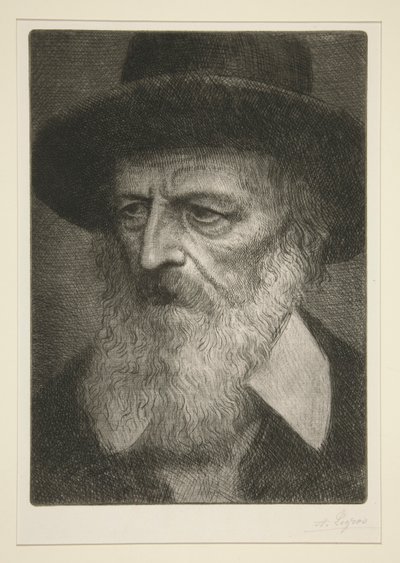 丁尼生肖像 作者 阿方斯·莱格罗斯（Alphonse Legros）