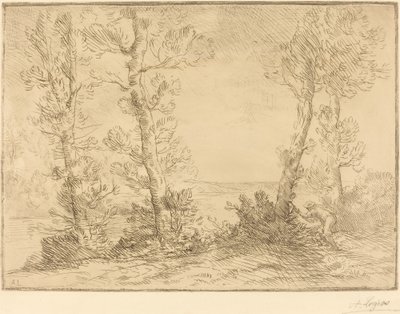 鲑鱼费舍尔 作者 阿方斯·莱格罗斯（Alphonse Legros）