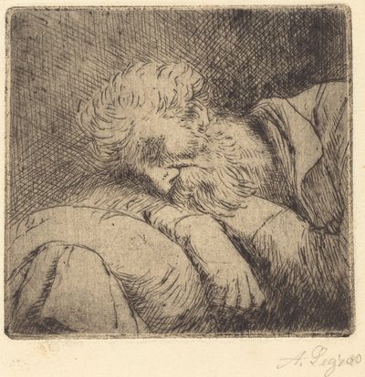 睡觉的乞丐 乞丐在睡觉。 作者 阿方斯·莱格罗斯（Alphonse Legros）