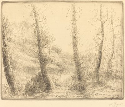 小湖 作者 阿方斯·莱格罗斯（Alphonse Legros）