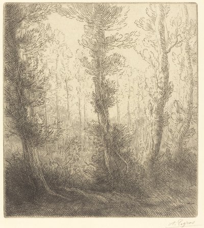 小湖 Le petit lac. 作者 阿方斯·莱格罗斯（Alphonse Legros）