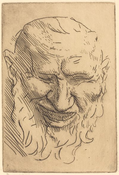 小萨提尔面具 小萨提尔面具。 作者 阿方斯·莱格罗斯（Alphonse Legros）