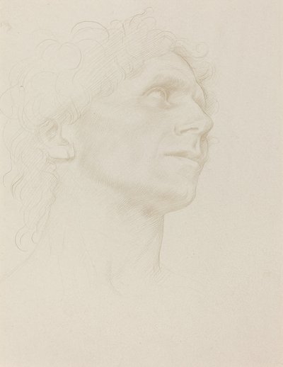 女人头的研究，向右转。 作者 阿方斯·莱格罗斯（Alphonse Legros）