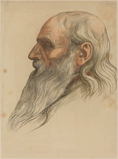 蓄满胡须的男子头部研究 作者 阿方斯·莱格罗斯（Alphonse Legros）