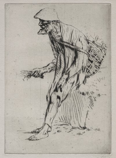 红色Pimpernel供应商。 作者 阿方斯·莱格罗斯（Alphonse Legros）