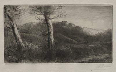 旅行者在草地上伸出来，c。 1888年。 作者 阿方斯·莱格罗斯（Alphonse Legros）