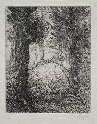 高卢胎瘤。 作者 阿方斯·莱格罗斯（Alphonse Legros）