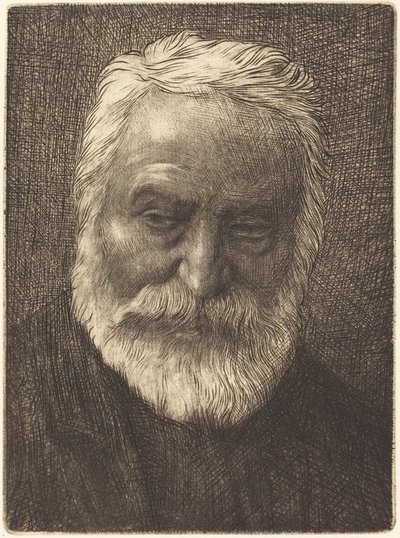 维克多-雨果，第2版 作者 阿方斯·莱格罗斯（Alphonse Legros）