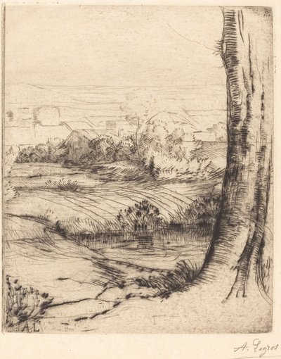 芦苇景观 作者 阿方斯·莱格罗斯（Alphonse Legros）