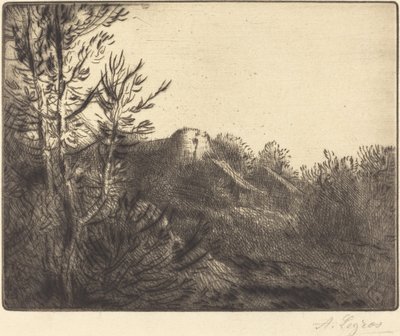 La ferme de Valoux农场的景色。 作者 阿方斯·莱格罗斯（Alphonse Legros）